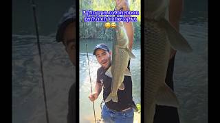 מפלצת בירדן חלק 3 ... נשיקה ושחרור חזרה למים 🤩 #דייג