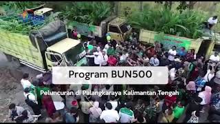 Launching Program BUN500 di Provinsi Kalimantan Tengah
