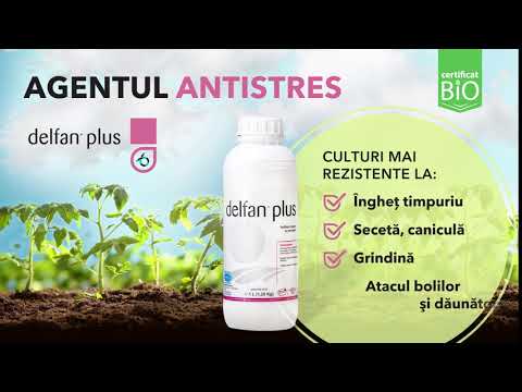 Delfan Plus - Agentul antistres