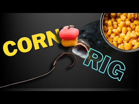 Learn How to Tie a Deadly Carp Rig with Natural and Fake Corn: Level Up Your Carp Fishing Game