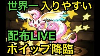 【LIVE】ホイップ降臨世界配布【概要欄必読】