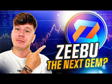 MAKING YOUR LIFE EASY! 🔥 Zeebu 🔥BIGGEST PROJECT OF 2024!🔥