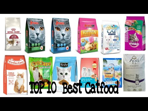 TOP 10 BEST CATFOOD IN PH 2020