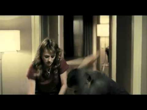 La mosquitera – Trailer
