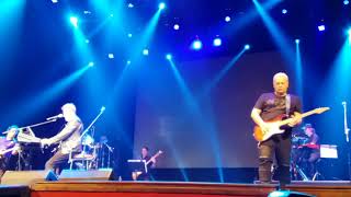 MIGUEL MATEOS Extra Extra,Un gato en la ciudad, Huevos en la cocina