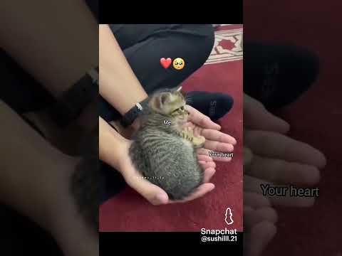 # MI IN your heart🥺♥️🎀# love have no language 🥺👉🏻👈🏻🎀🎀