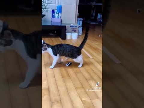 18 de janeiro de 2024