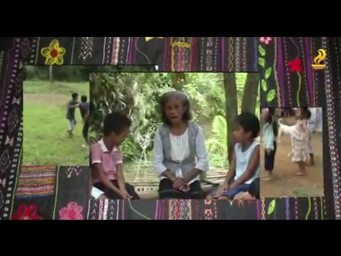 Philippines - School of Living Traditions - Central Cultural Communities Video