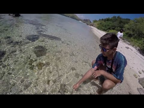 Komodo Island Clear Water Shore Fishing