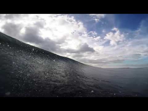 Wiggolly Dantas Over Under