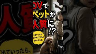 【老後の雑学】DVでペットが人質に!? 逃げられない理由とは #shorts