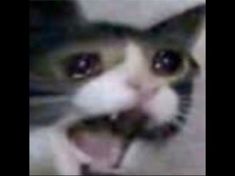 gaeta loses by d̶o̶i̶n̶g̶ ̶a̶b̶s̶o̶l̶u̶t̶e̶l̶y̶ ̶n̶o̶t̶h̶i̶n̶g̶  trying their very best :)