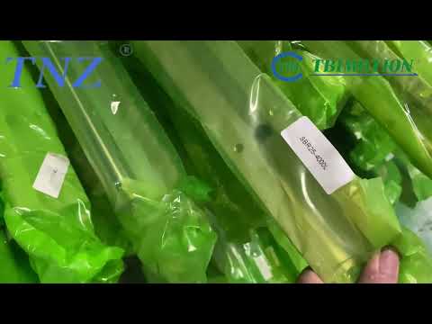 Thanh trượt TBI TAIWAN, TNZ MOTION