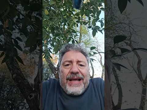 Frankenstein junior e gli errori della AI secondo Chatgpt