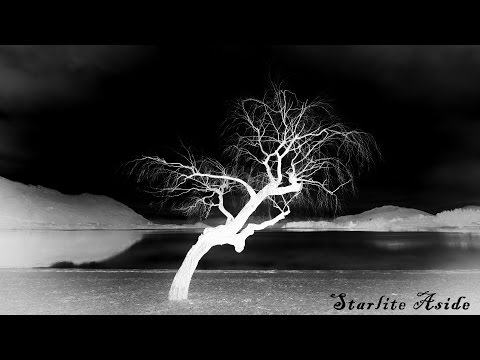 Starlite Aside~Dead Leaves