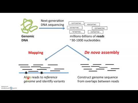 WES, sequence alignment, variant calling and annotation review, part 1