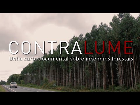 Vídeo: Contralume
