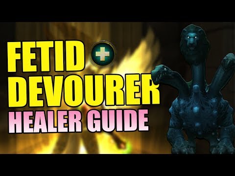 Fetid Devourer Healer Guide - Uldir BfA Patch 8.0.1