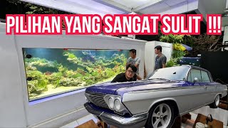 PILIHAN SULIT‼️FOKUS PADA HOBI IKAN PREDATOR EXOTIC ATAU  MELANJUTKAN HOBI MOBIL KLASIK LANGKA !!!