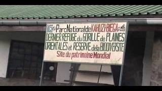 Spain-UNEP Partnership: Kahuzi-Biega National Park, DRC - English