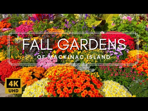 Fall Garden Walking Tour | Amazing Colors and Relaxing Music on Mackinac Island, Michigan