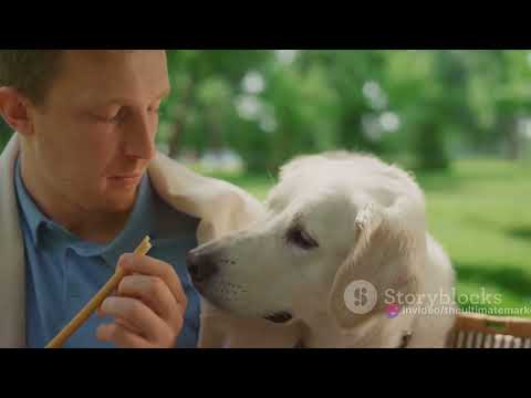 Indulge Your Furry Friend: Top 5 Dog Foods for Puppy Chow Power