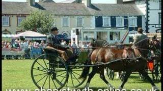 preview picture of video 'Horses & Ponies at Aberaeron Show'