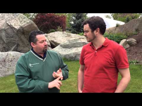 download lagu mp3 mp4 Why Is It Better To Water Your Lawn At Night, download lagu Why Is It Better To Water Your Lawn At Night gratis, unduh video klip Why Is It Better To Water Your Lawn At Night