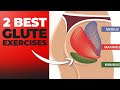 Top 2 Exercises to Build Glutes!