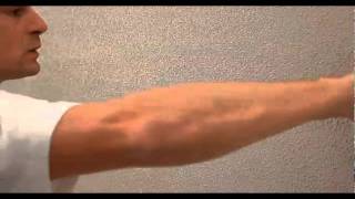 Seigneurie Application Advice - Decormix