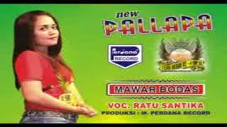 Download lagu New Pallapa & Ratu Santika - Mawar Bodas mp3