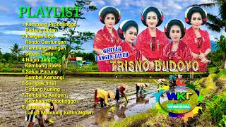 Download lagu Full Album 1 jam Tayub Lamongan Jawa Timuran Trisno Budoyo Cocok Buat Cek Sound Syahdu mp3