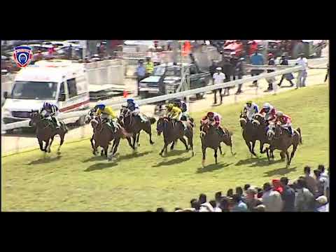 RM26 R3 | Viking Trail | J.Allyhosain