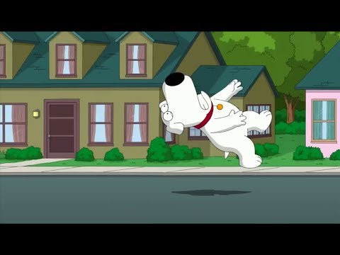 Family Guy - Brian Goes Flying