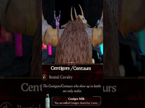 The One Who Truly Wins when CA constantly adds New Beastmen Units in Total war Warhammer3