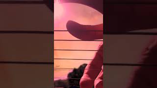 supermarket flowers // ed sheeran - guitar fingerstyle cover