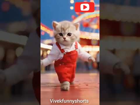 Cute ❤cat dance//how to cat#cat #bhojpuri #newsong #cutecat #0498