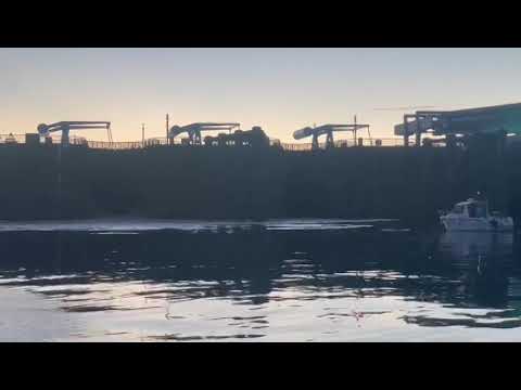 Cardiff Docks to the Sea