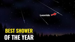 Leonid Meteor Shower November 2025: Here's How To Watch This Amazing Sky Show!