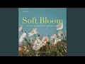 Softly, In Bloom