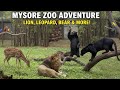Mysore Zoo Walking Tour Animal Adventure