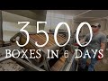 Extracting 100,000lbs of Honey in 6 DAYS! Commercial Honey Production