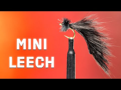 Mayers Mini Leech Fly Pattern | The Perfect Fly for Catching Trout | Fly Tying Tutorial