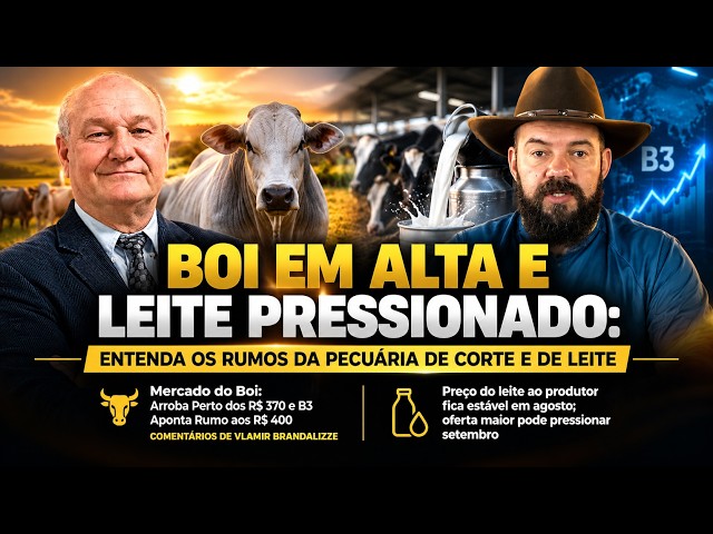 BOI em Alta e LEITE Pressionado: Entenda os Rumos da Pecuária de Corte e de Leite.