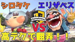 [スマブラSP]第5回YB討伐軍選抜大会！決勝！ワリオ使いエリザベスVSピクミン-オリマー使いシロタケ【2019/5/10】