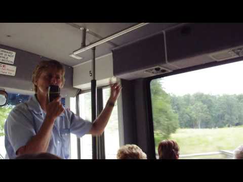 Bloody Battle in the Wheatfield