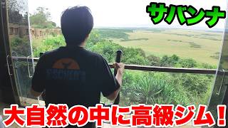 サバンナにある高級ホテルはジムやプールがあって豪華すぎた！？