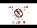 Cardiac Axis In 5 Min