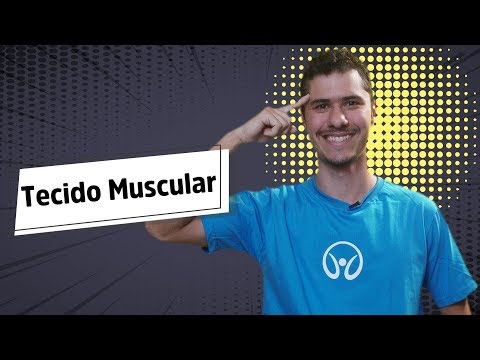 Muscle Tissue - Brazil School