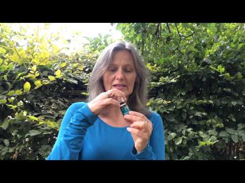 Ätherische Öle gegen Blattläuse